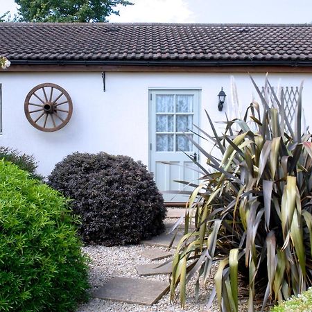 Ashton Cottages Cheddar Dış mekan fotoğraf